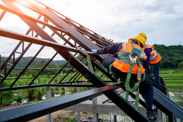 Best Sealant for Roof  in Kualapuu, HI