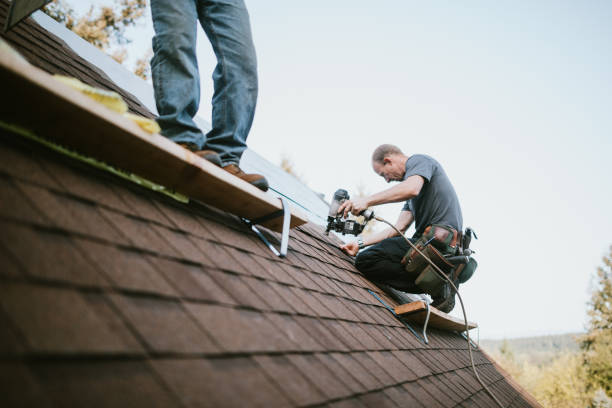 Best Flat Roof Repair Services  in Kualapuu, HI